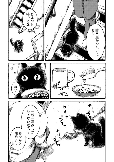 黒猫ラッタと猫のヒト