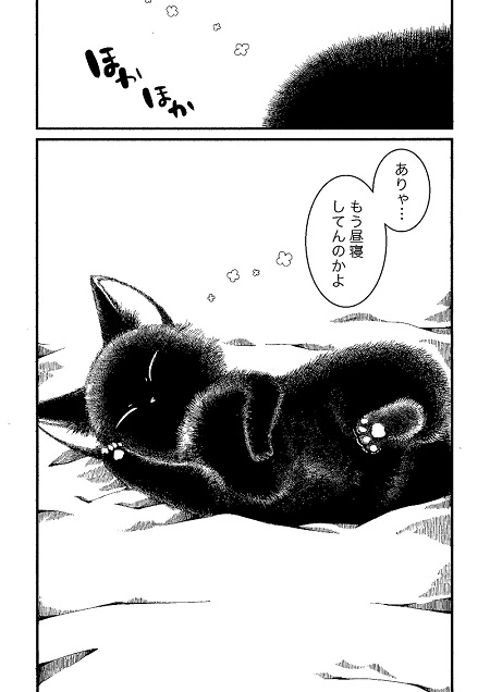 黒猫ラッタと猫のヒト