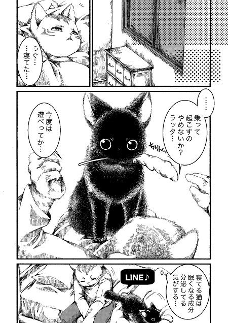 黒猫ラッタと猫のヒト
