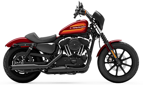 大島由香里に乾杯 !