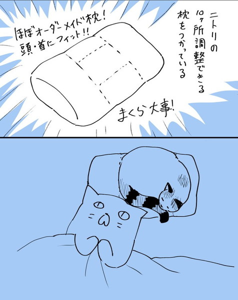 猫漫画