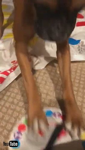 「Doggy Plays Twister by His Own Rules || ViralHog」
