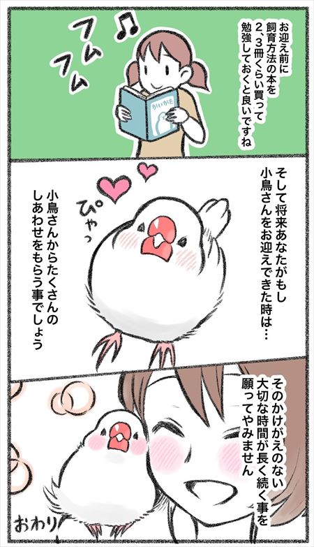 小鳥さんをお迎えする前に4