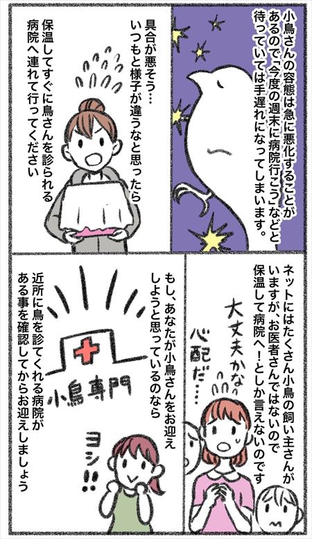 小鳥さんをお迎えする前に3