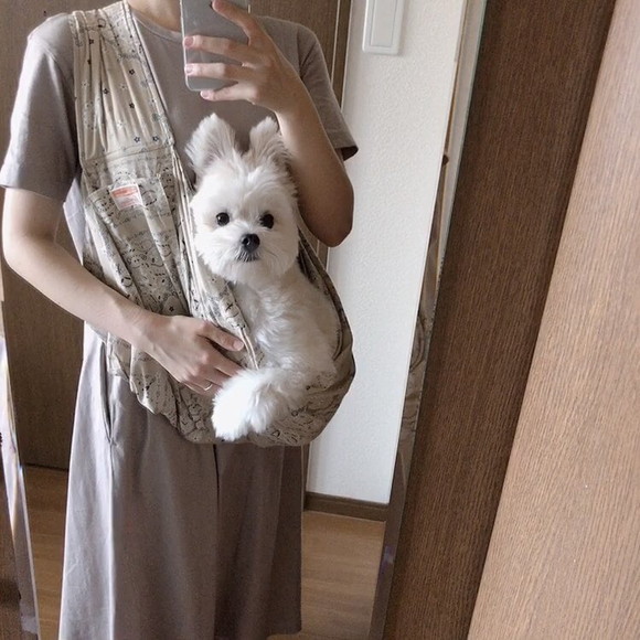 ビックリぽんたくん
