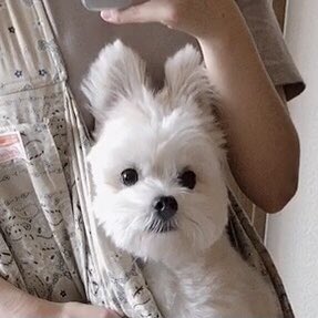 おすすめ