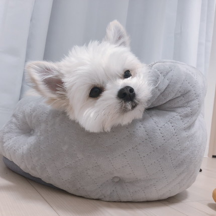 ぽんたくん