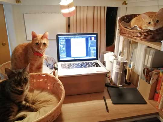 新生活 引っ越し 一番嬉しかったこと 猫吸い 喫ニャン所