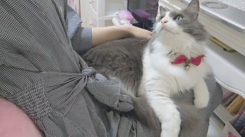 恵まれた労働環境