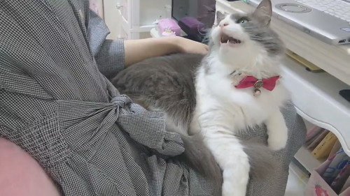 恵まれた労働環境