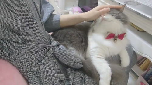 恵まれた労働環境