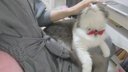 恵まれた労働環境