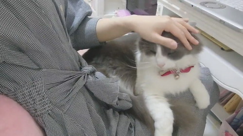 恵まれた労働環境