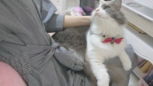 恵まれた労働環境