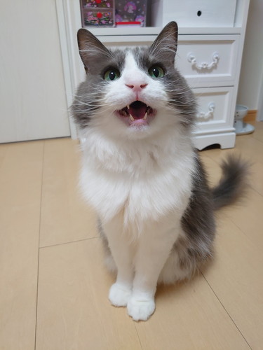 いーくん