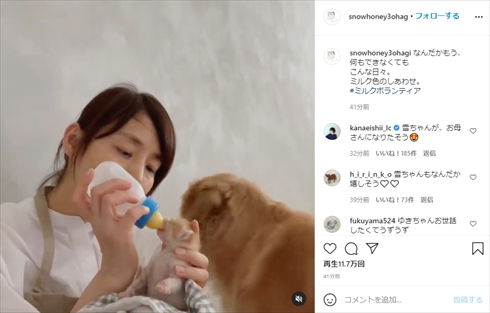 石田ゆり子 ミルクボランティア 子猫 保護猫 インスタ