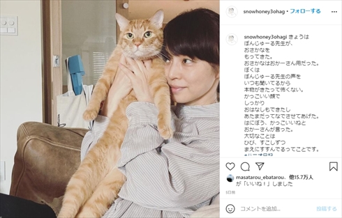 石田ゆり子 ミルクボランティア 子猫 保護猫 インスタ
