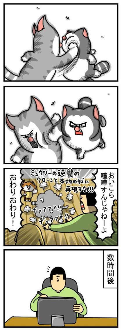 猫