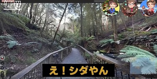 植物学者たちがゲームをしたら