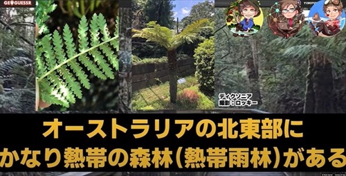 植物学者たちがゲームをしたら