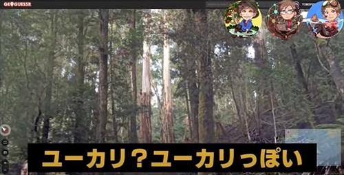 植物学者たちがゲームをしたら