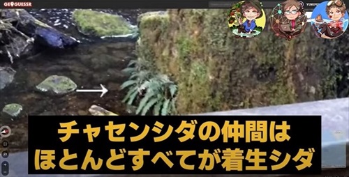 植物学者たちがゲームをしたら