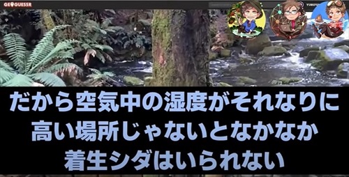 植物学者たちがゲームをしたら