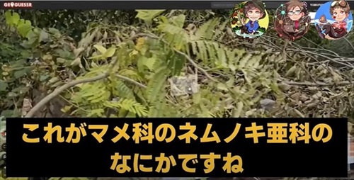 植物学者たちがゲームをしたら