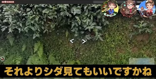 植物学者たちがゲームをしたら
