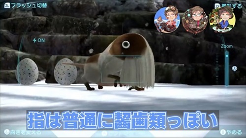 植物学者たちがゲームをしたら