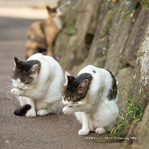 シンクロナイズド