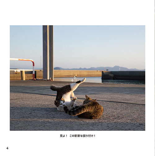 斬新な振り付け