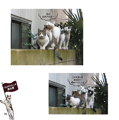 ネコザイル舞台裏