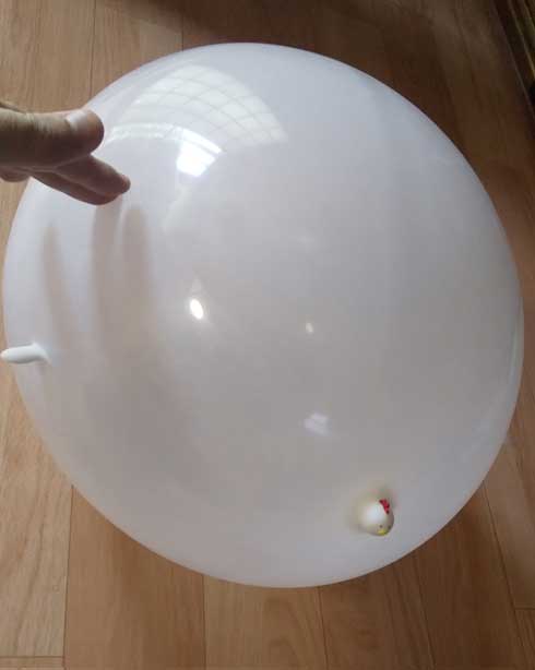 ダイソー ニワトリ 風船 パンパン