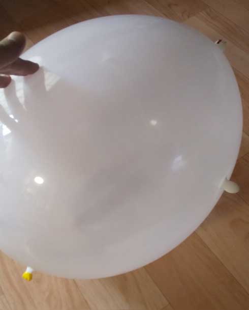 ダイソー ニワトリ 風船 パンパン