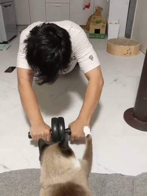 鬼教官 ネコ たぬきちゃん トレーニング