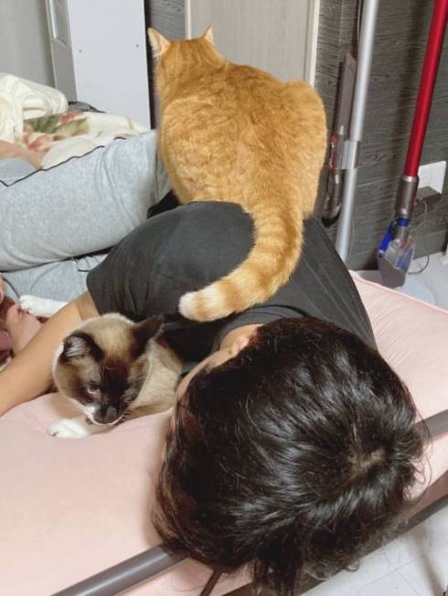 鬼教官 ネコ たぬきちゃん トレーニング