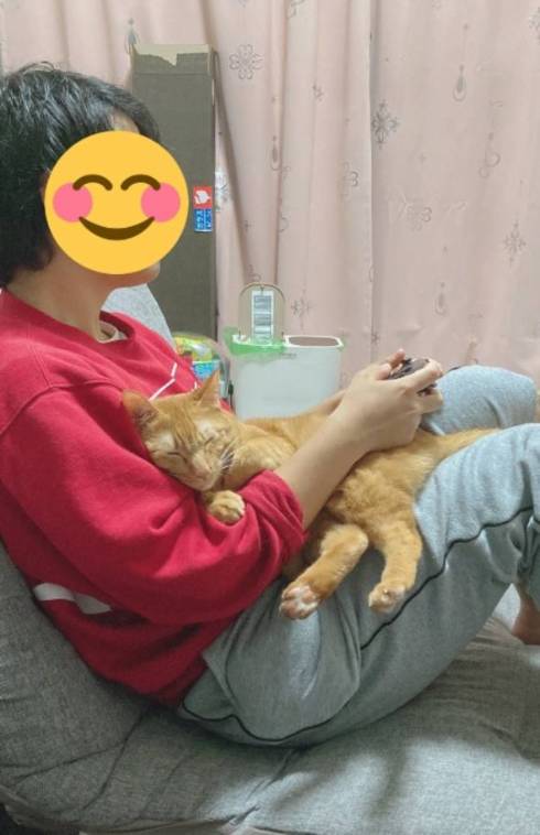 鬼教官 ネコ たぬきちゃん トレーニング