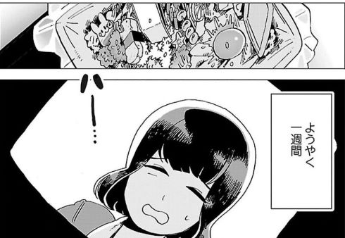 ランチの憂鬱 twitter 漫画 谷口菜津子 彼女は宇宙一