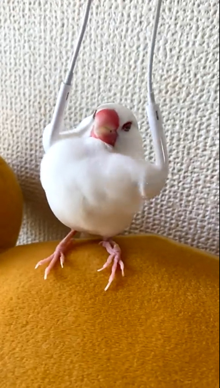 ご満悦なゆきおくん