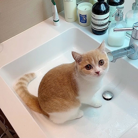 見上げるコニちゃん