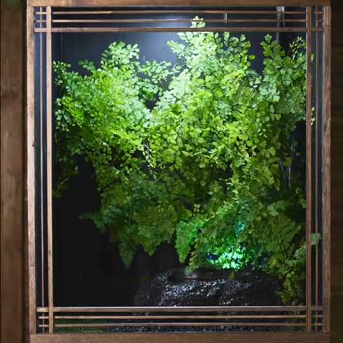 室内 雨の庭 制作