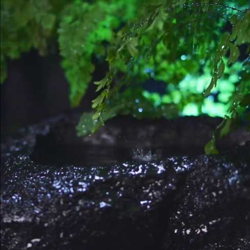 室内 雨の庭 制作