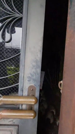 ウェアハウス岩槻