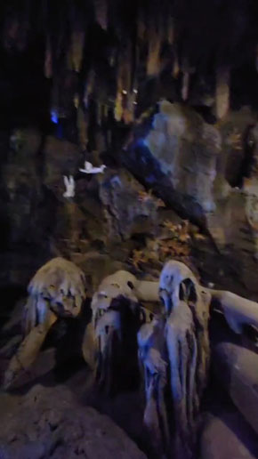 ウェアハウス岩槻