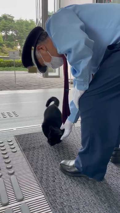 尾道市立美術館 警備員 猫 ケンちゃん 侵入 攻防