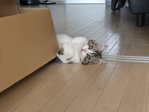 いろんなまるくん