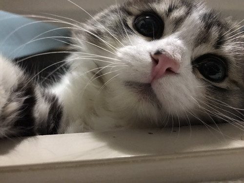 いろんなまるくん