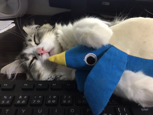 いろんなまるくん