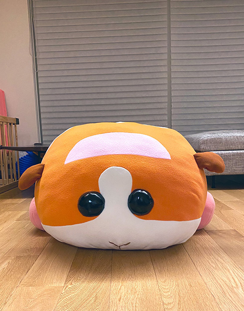 息子と娘の愛を一身に受けた姿　一日を終えてぺちゃんこになったPUIPUIモルカー「ポテト」がかわいい